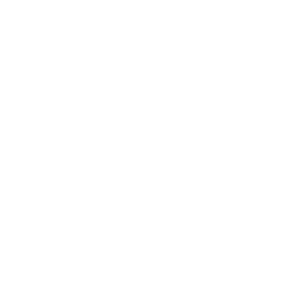 Logo FisioSentis