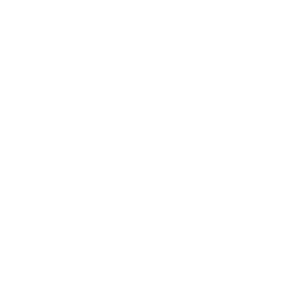 Logo Cleverit